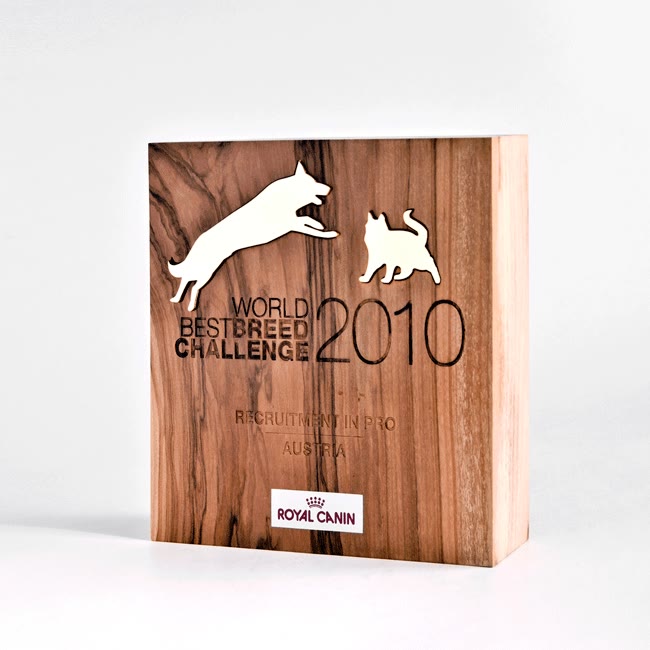  trophée bois personnalisé 