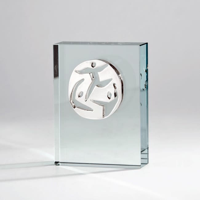  Trophée verre logo métal