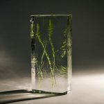 Trophée en verre avec décor végétal