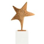 Trophée Etoile en métal or